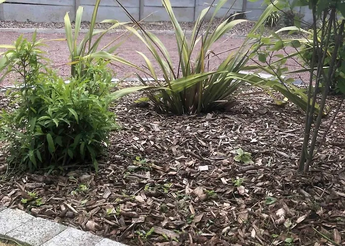 בית נופש - Les Épesses